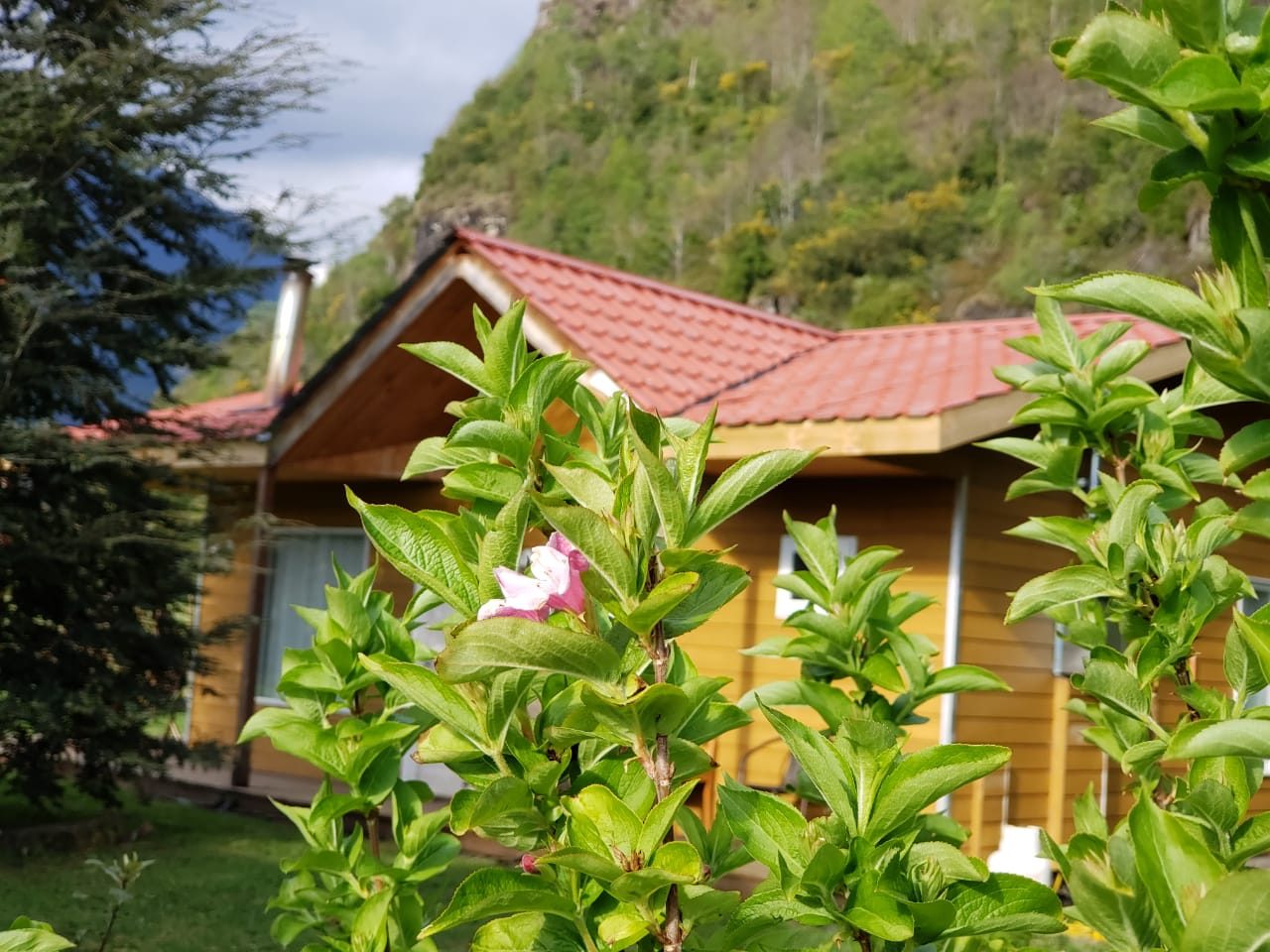 Cabaña con flores y montaña, junto a las Termas de Llifen
